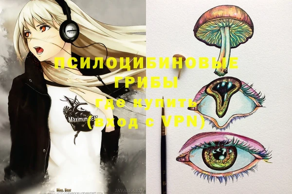 МДПВ Новодвинск